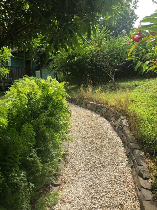 Charmant Bungalow Avec Piscine Saint-Joseph エクステリア 写真