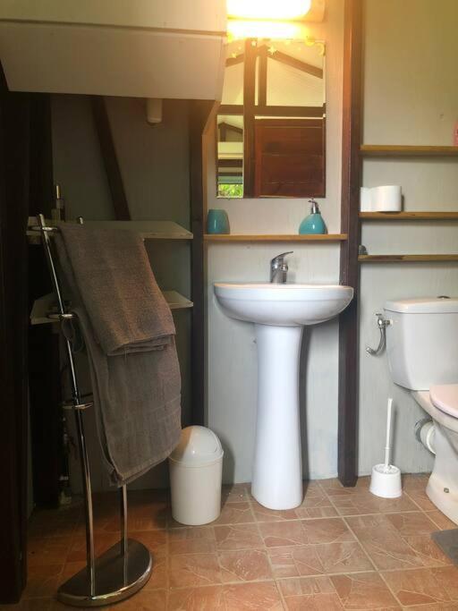 Charmant Bungalow Avec Piscine Saint-Joseph エクステリア 写真